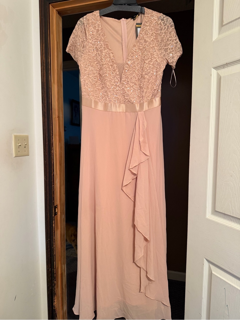 Blush Lace Bodice Maxi Dress with Ruffle Detail